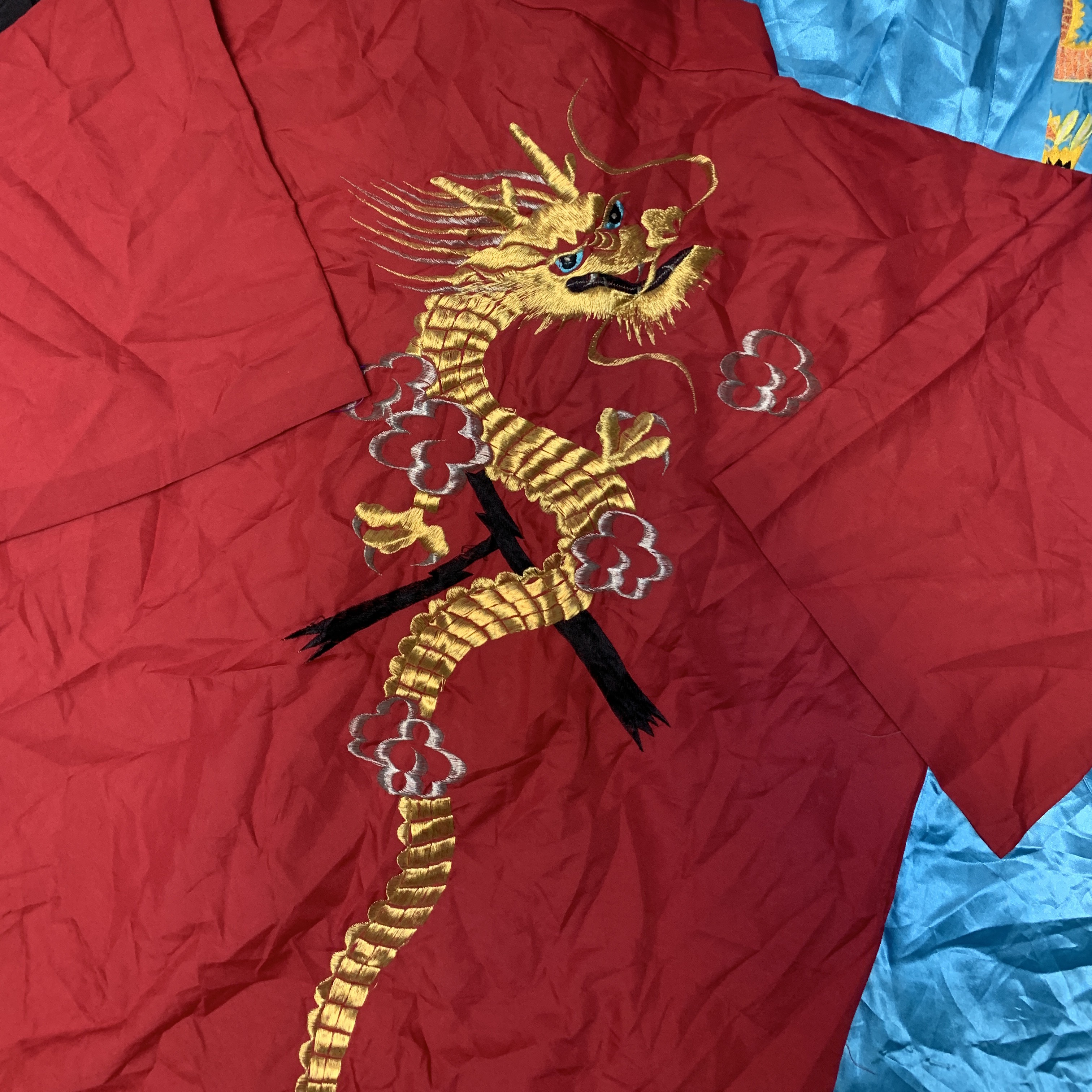 Dragon sleeping dress