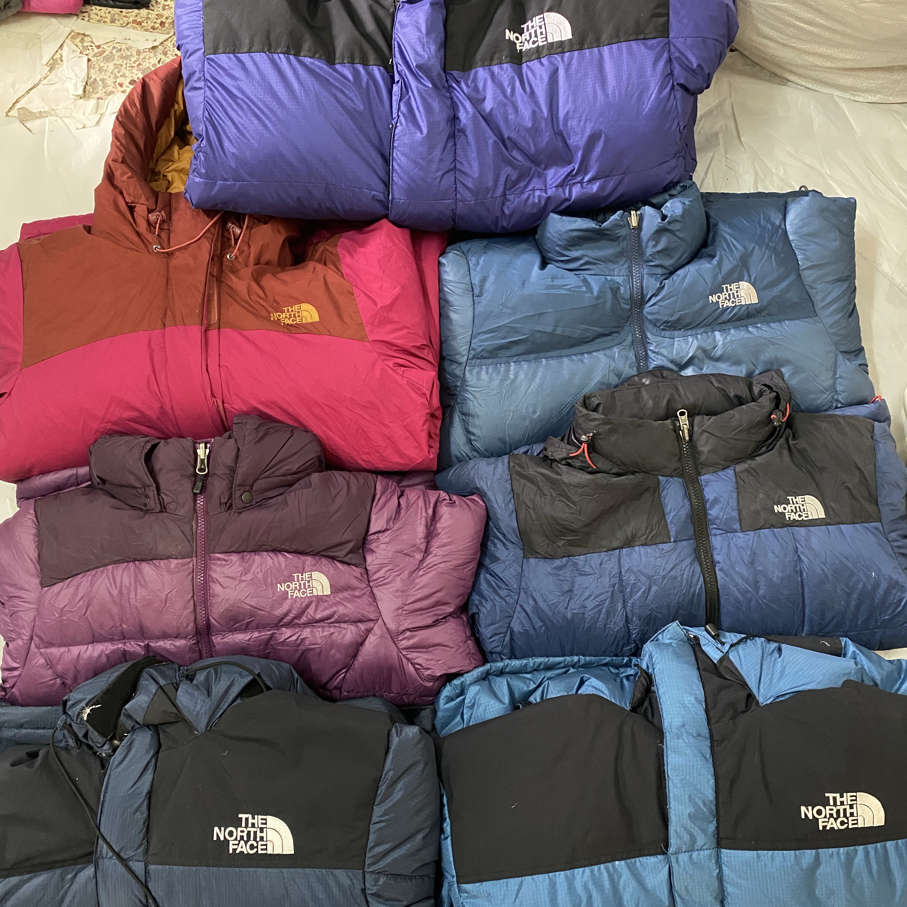The North Face puffer 700/800/900