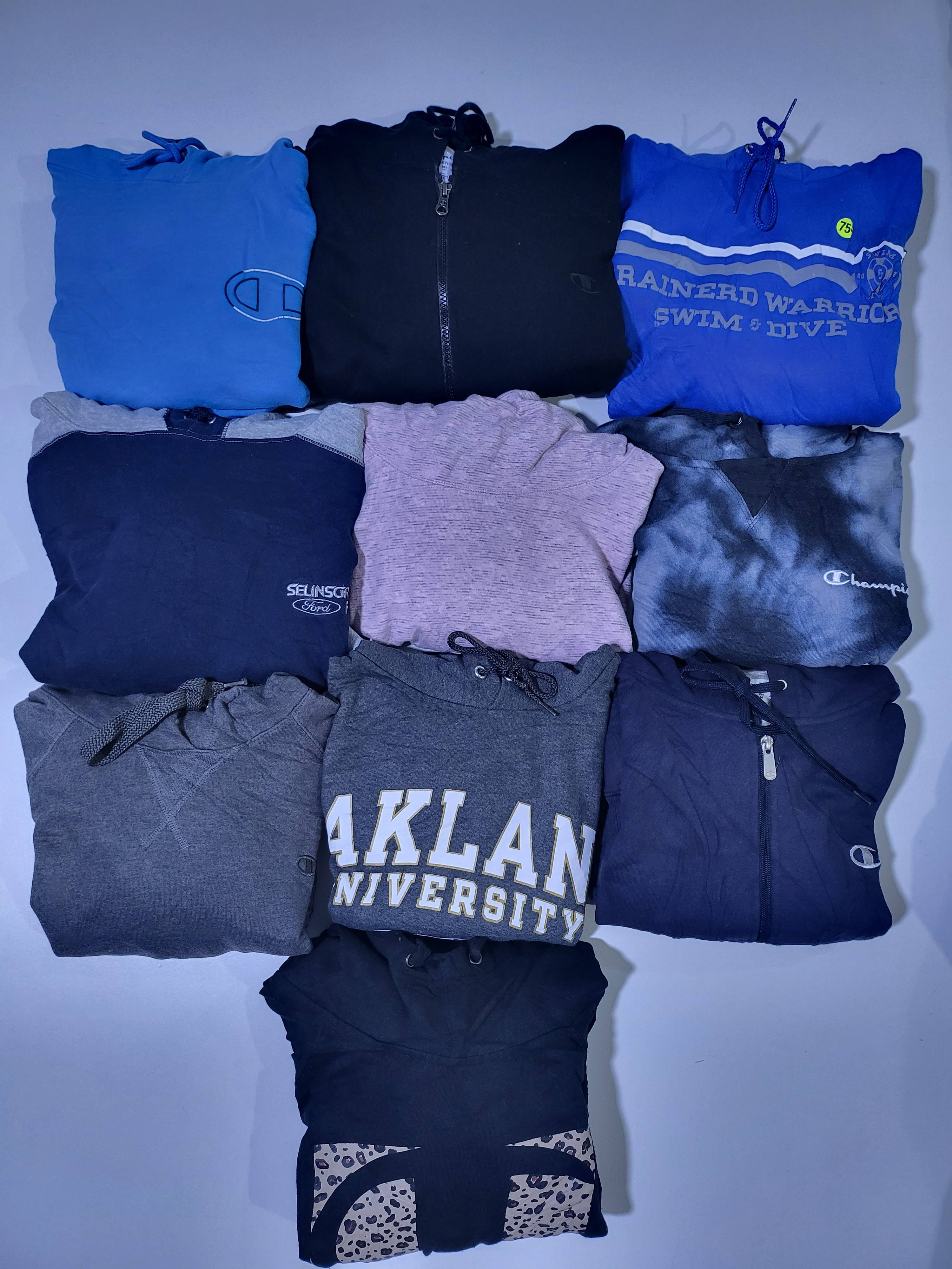 Champion Hoodies