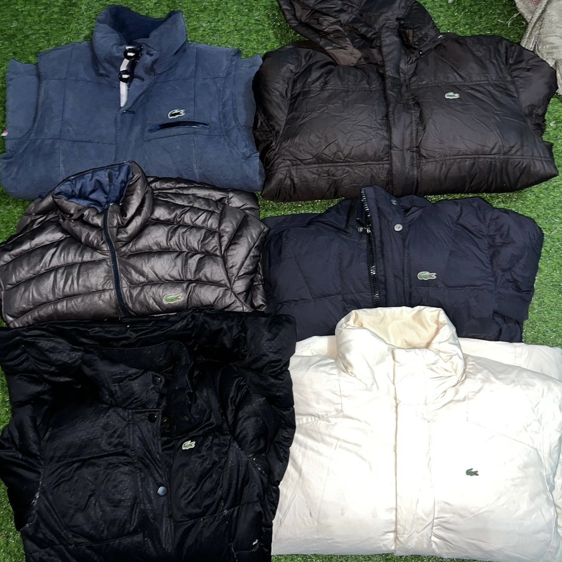 Lacoste Duck Down Puffers