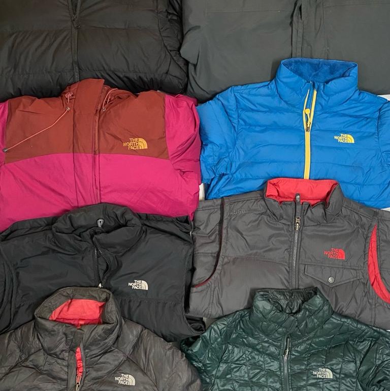 The North Face Puffer Jackets 550/600/HyVent