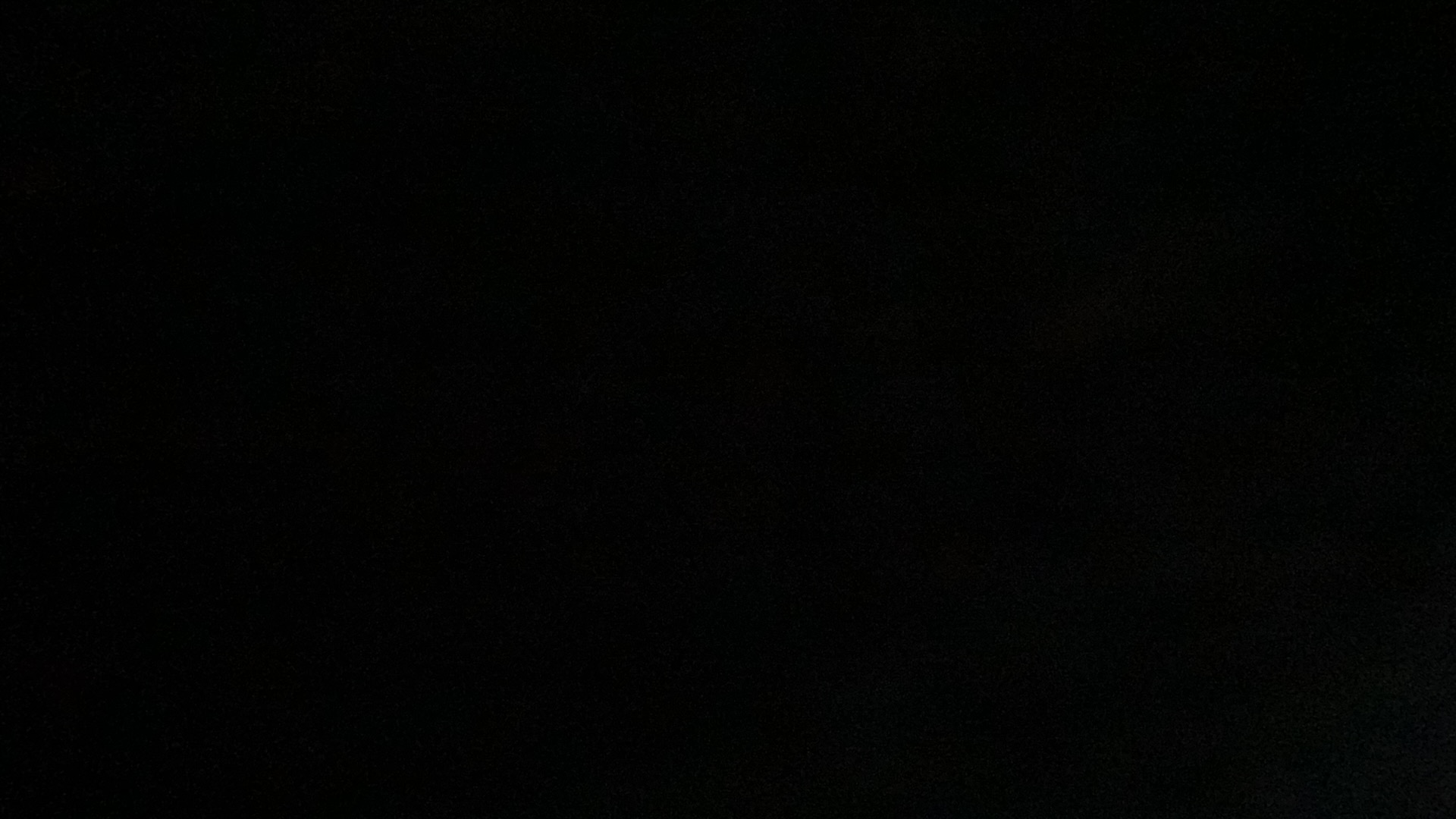 SJT LLbean Fleece Jackets