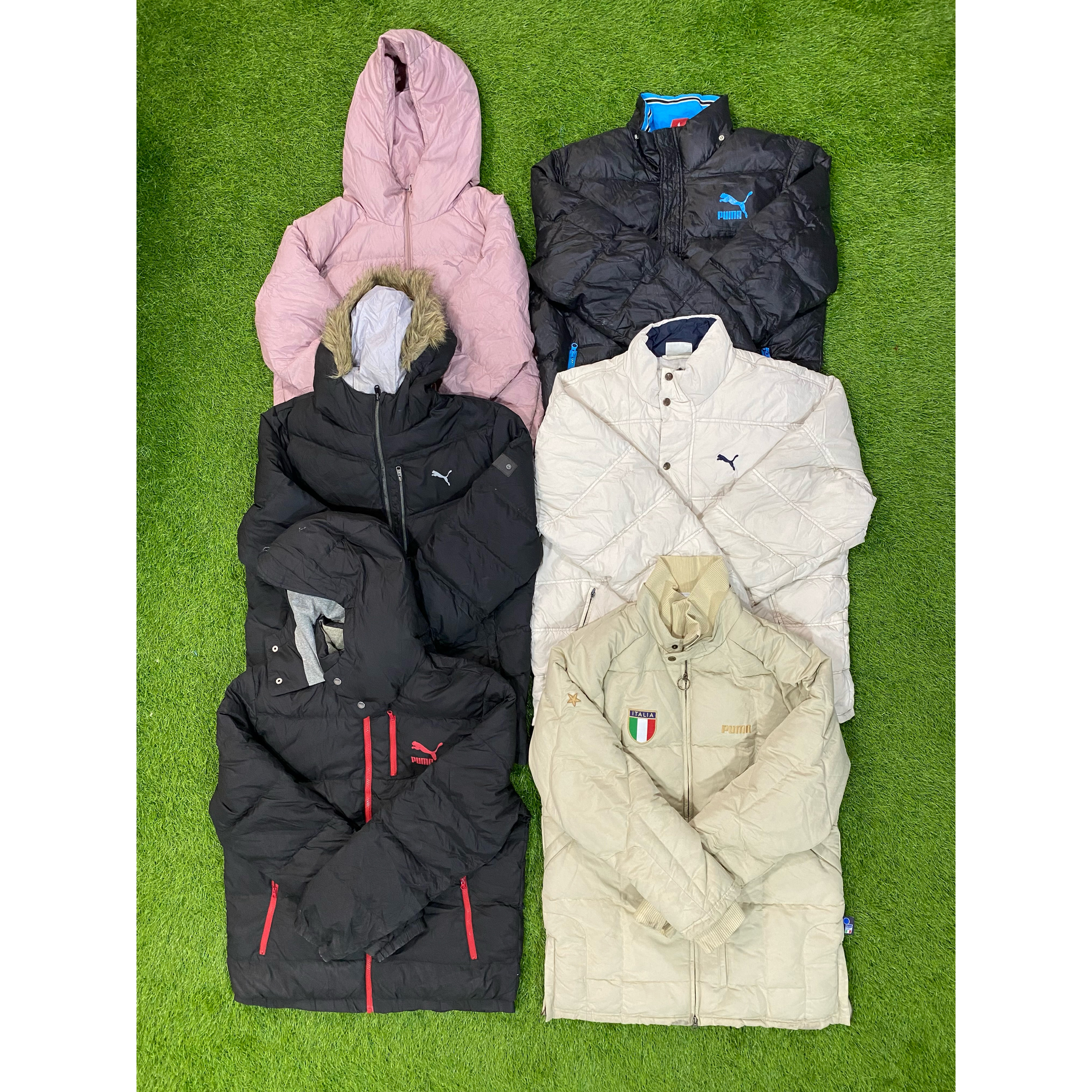 Puma Puffers - 20 Stück