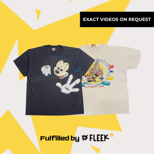 Mickey Mouse / Disney T-Shirts (FBF#154 - Grundbestand)