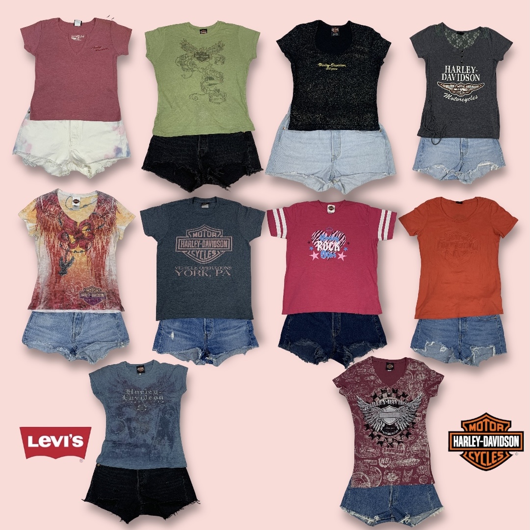Best combo of Harley and Levi's (GRV-5-041)