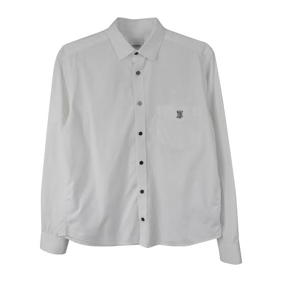 Burberry Lactose Barbour Patagonia Tommy Hilfiger Mixed Brand Cotton Shirts