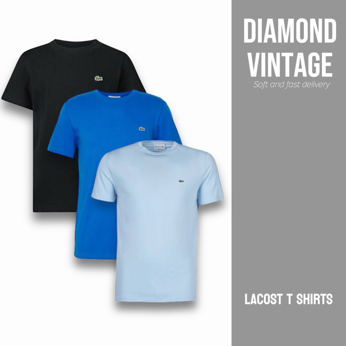 Lacoste T Shirt