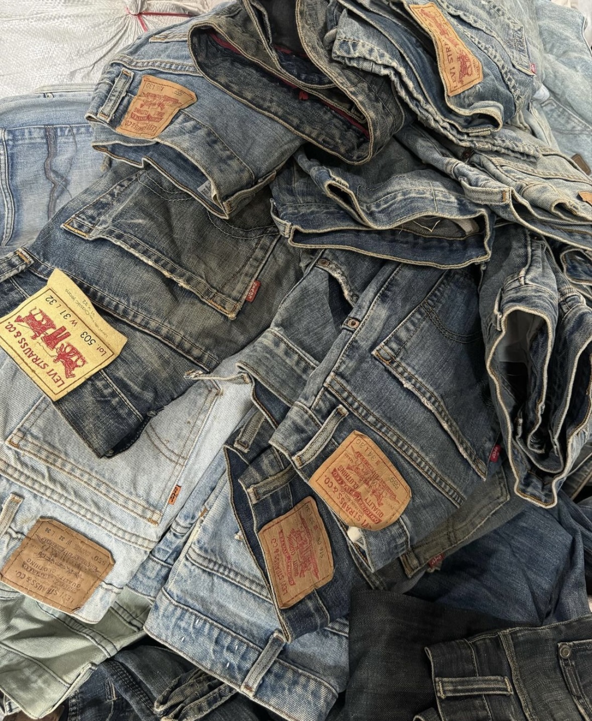 Levi's pants - 50 pieces