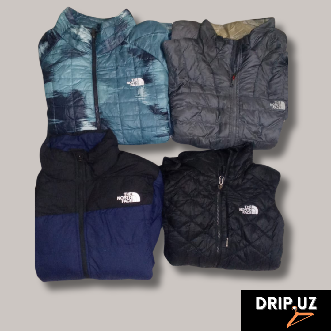 Northface Windbreakers Puffers Jackets Summit Series, 550, 900 included