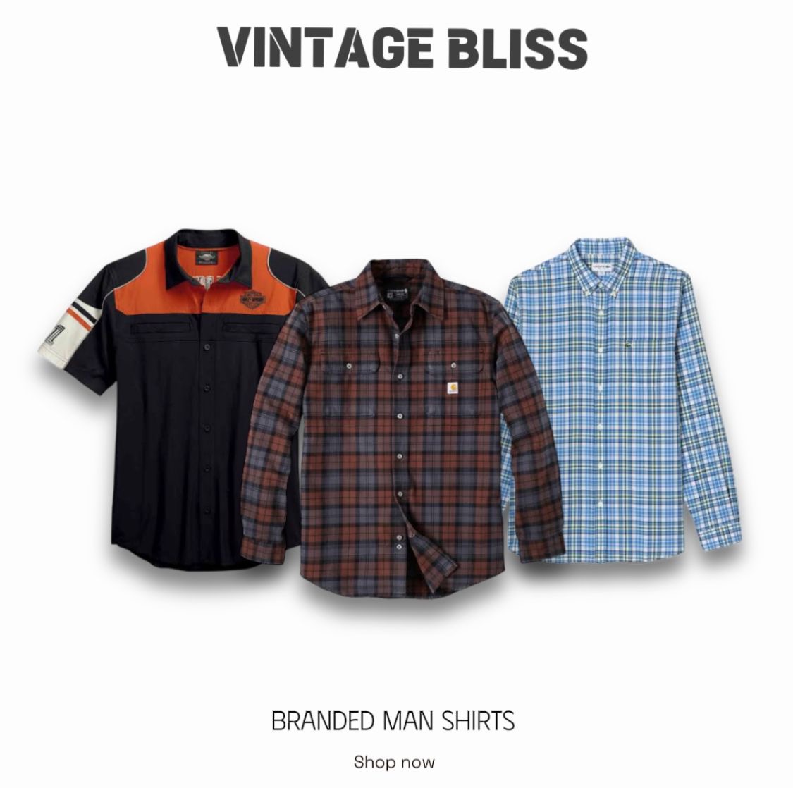 Chemises pour hommes de marque