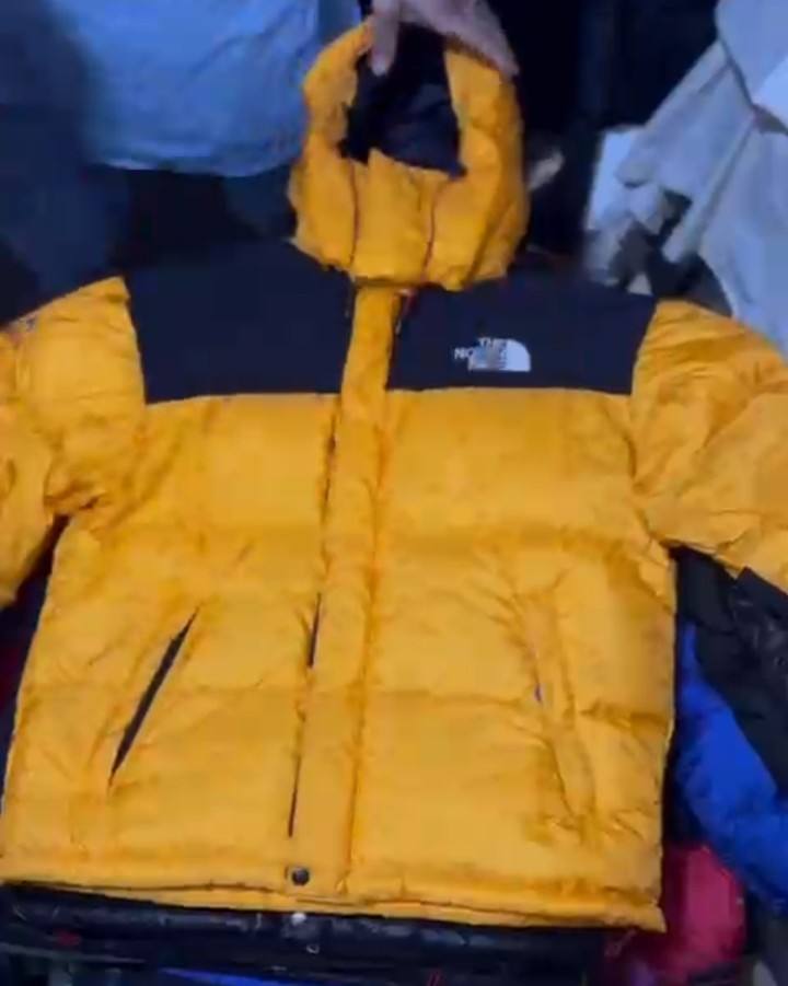 Thr North face authentic puffers