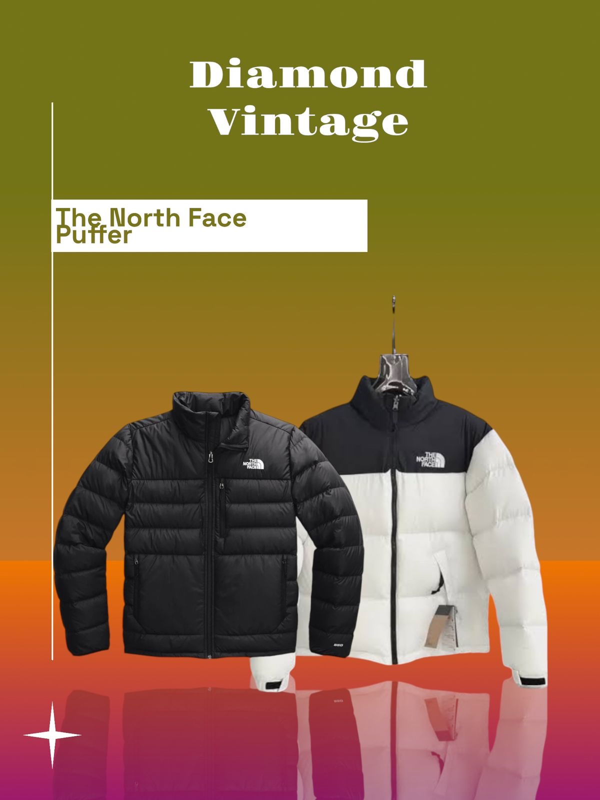 The North Face Puffer 10 Pièces