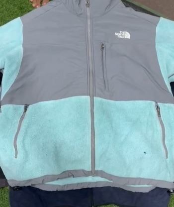 Les vestes Denali de The North Face.