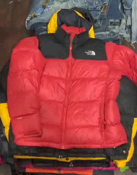 Vestes Puffer Premium The North Face