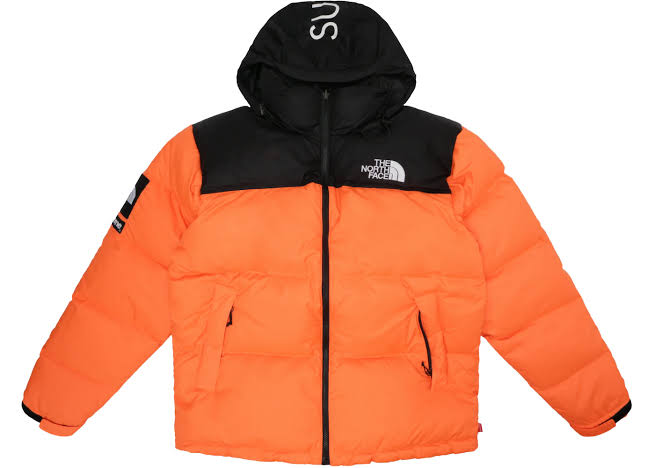 Authentische The North Face Pufferjacken 700 und 800 Nuptse