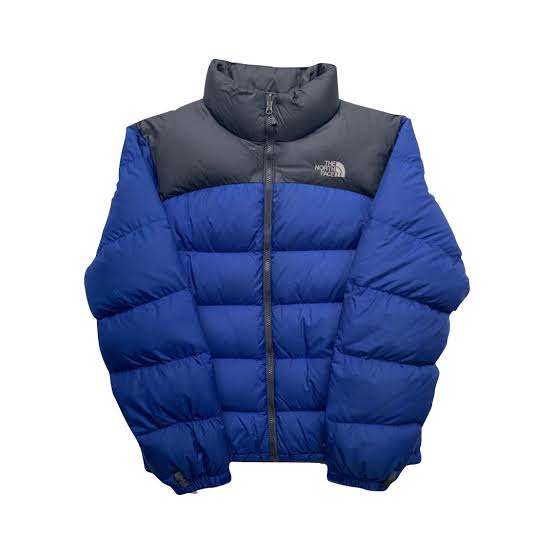 Vestes Puffer Premium The North Face 700 et 800 Nuptse