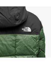 The North Face Nuptse 700-800 Puffer Jacket