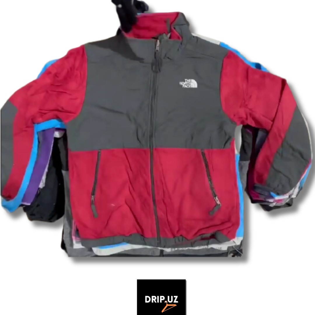 Northface Denali Fleece H3010/R10
