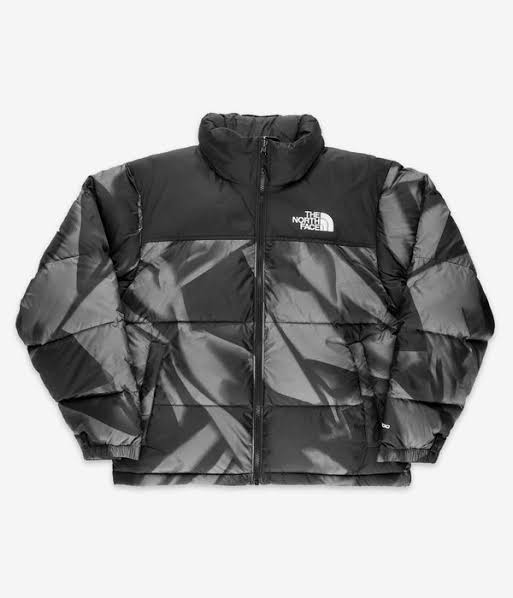 Doudounes Authentic The North Face 700 et 800 Nuptse