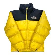 Premium The North Face Puffer Jackets