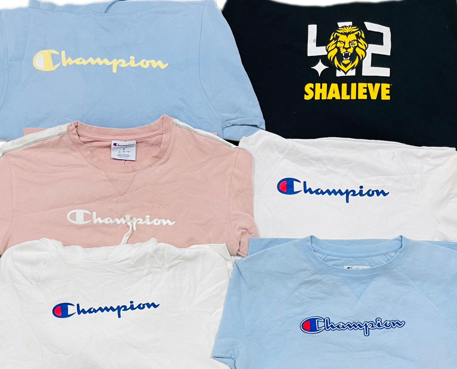 Sweatshirts et hoodies Champion 15 pcs