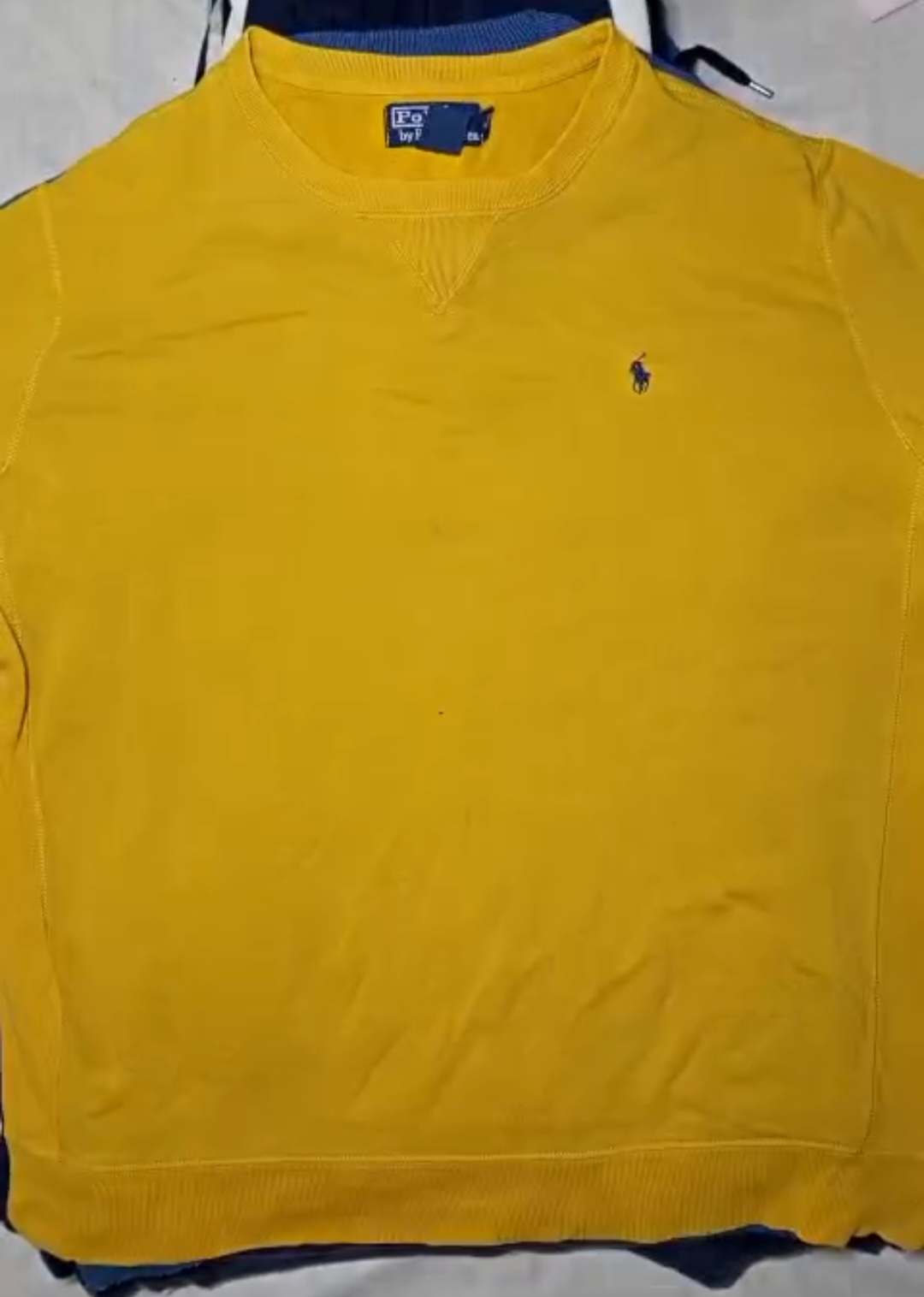 Polo sweatshirts 25(R)