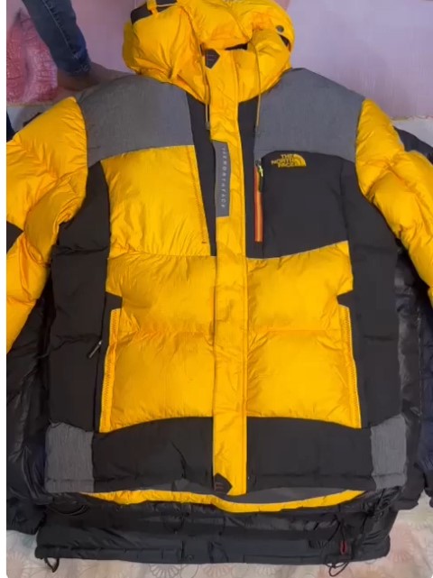 Giacche Puffer Premium The North Face