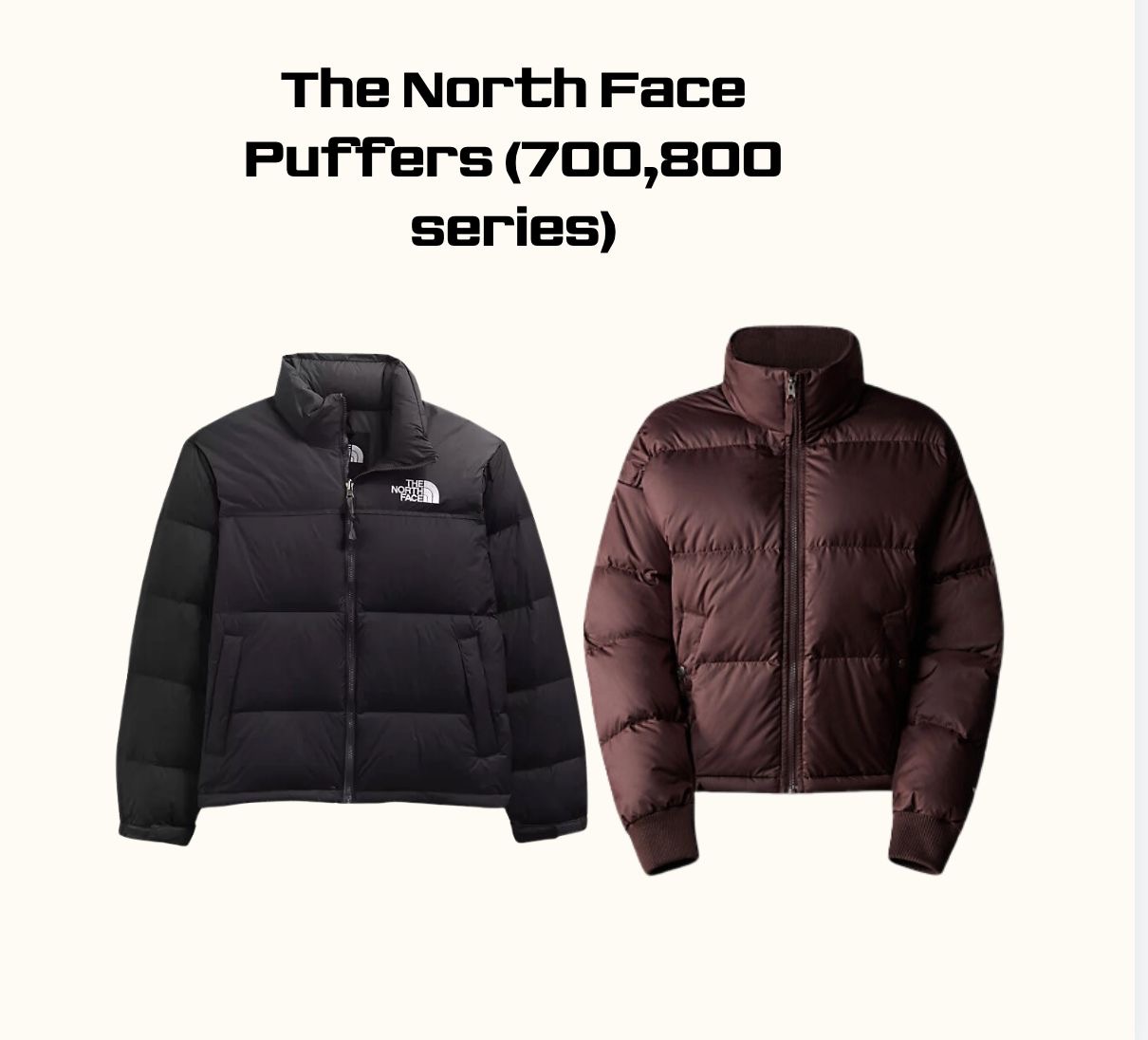 The North Face puffers (700,800 series) - 20 pcs