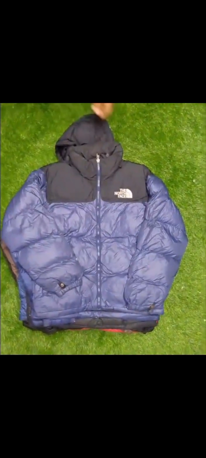 Premium The North Face Puffer Jackets