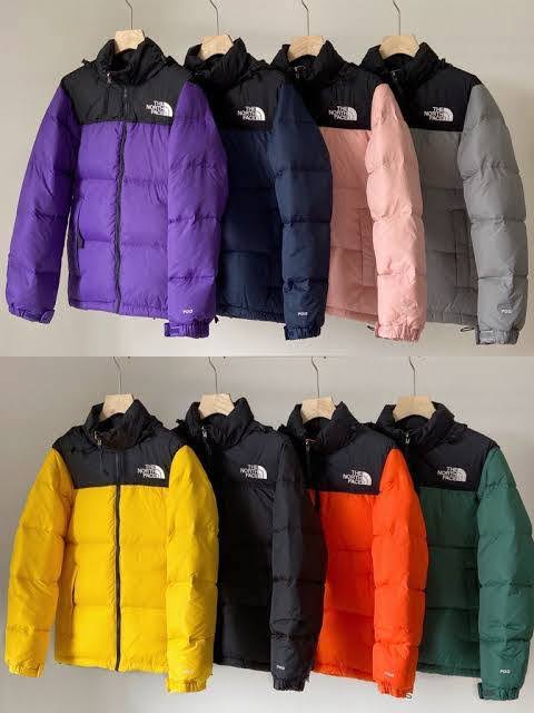 Veste doudoune Premium The North Face 700 et 800 Nuptse