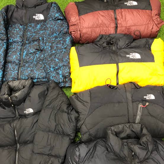 Veste doudoune spéciale The North Face 700 et 800 Nuptse