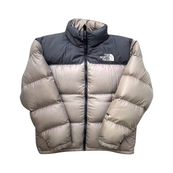 Premium The North Face Puffer Jackets 700 and 800 Nuptse