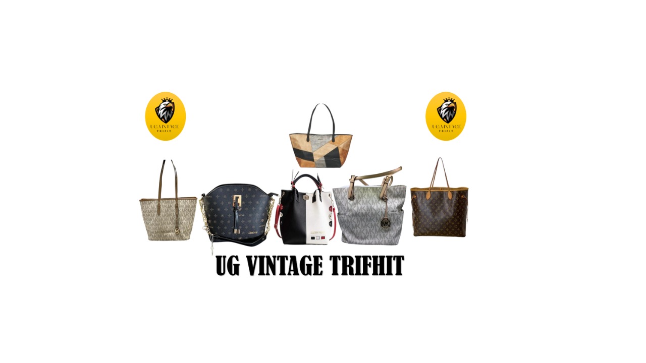 Louise vuitton Bags