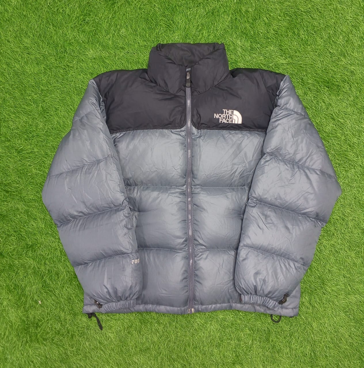 The North Face Puffers 43 Pcs