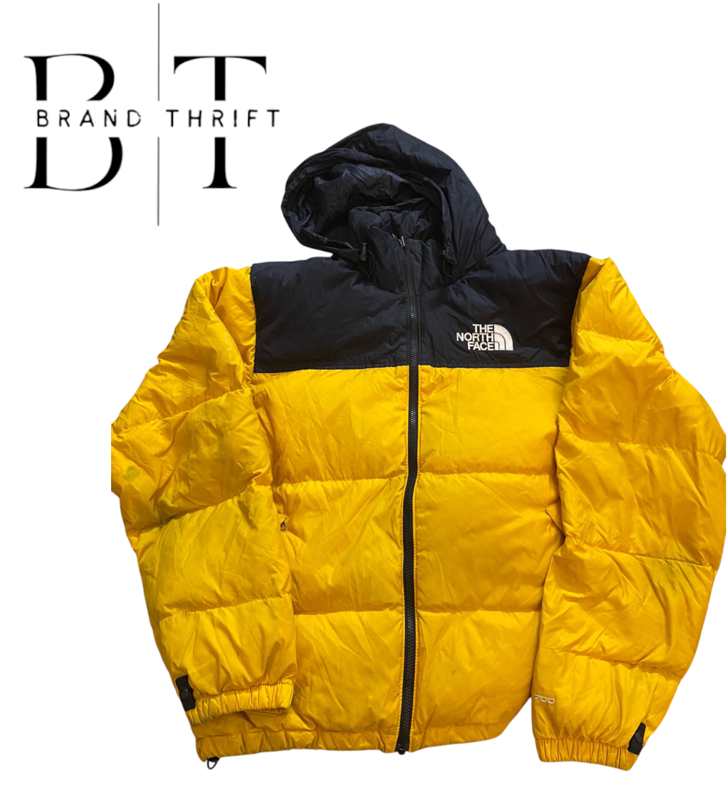 LES Doudounes THE NORTH FACE (SÉRIES 550, 700, 800) - 13 Pcs