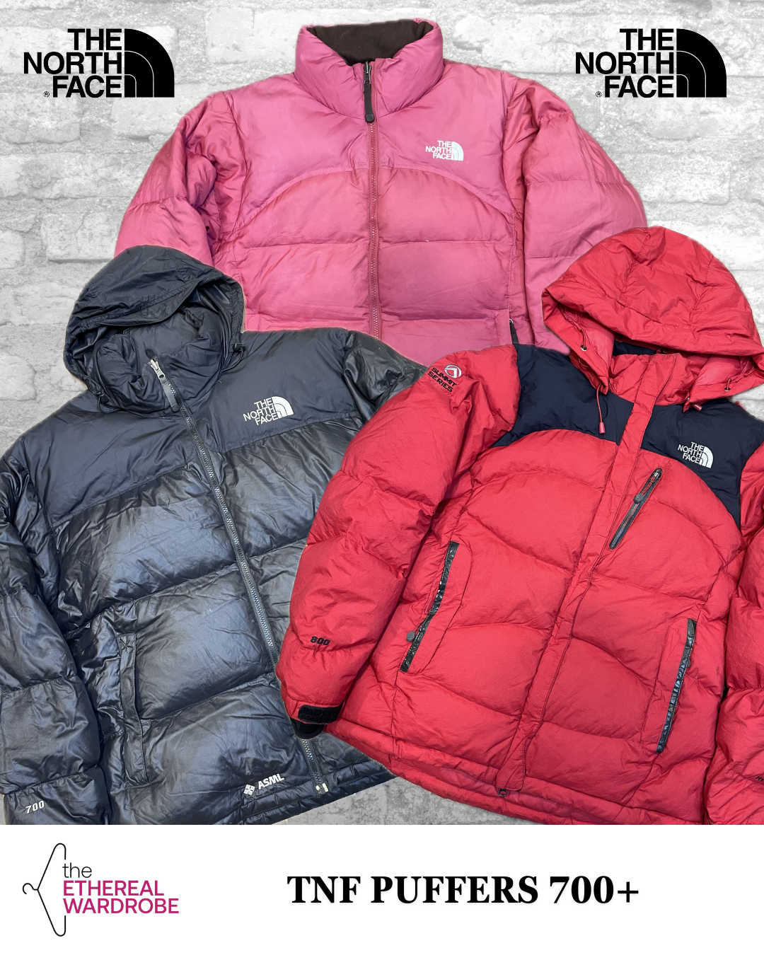 Doudounes North Face 700+ incluant Nuptse et Baltoro