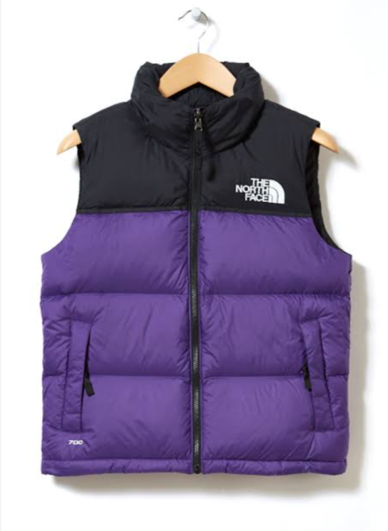 Les vestes The North Face 700 et 800