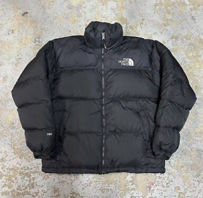 The North Face 700/ 800 Jackets