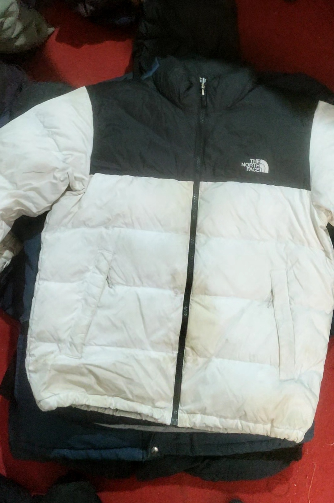 The North Face Puffer 10Pcs