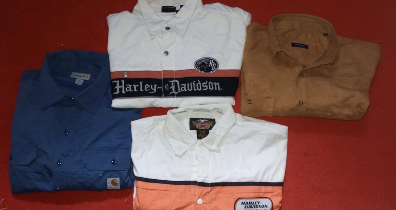 Herrenhemden von Burberry / Harley Davidson / Lacoste / Ralph Lauren