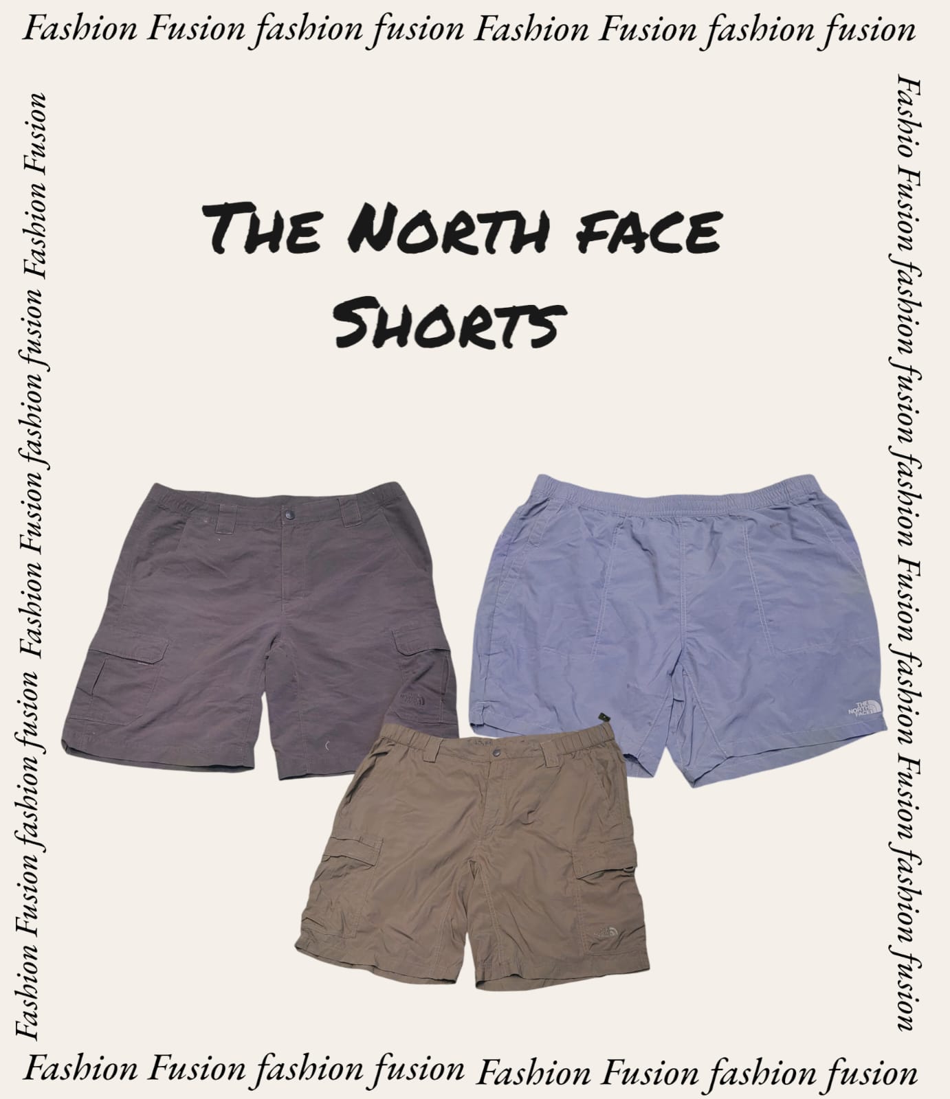 The north face shorts (FF-422)