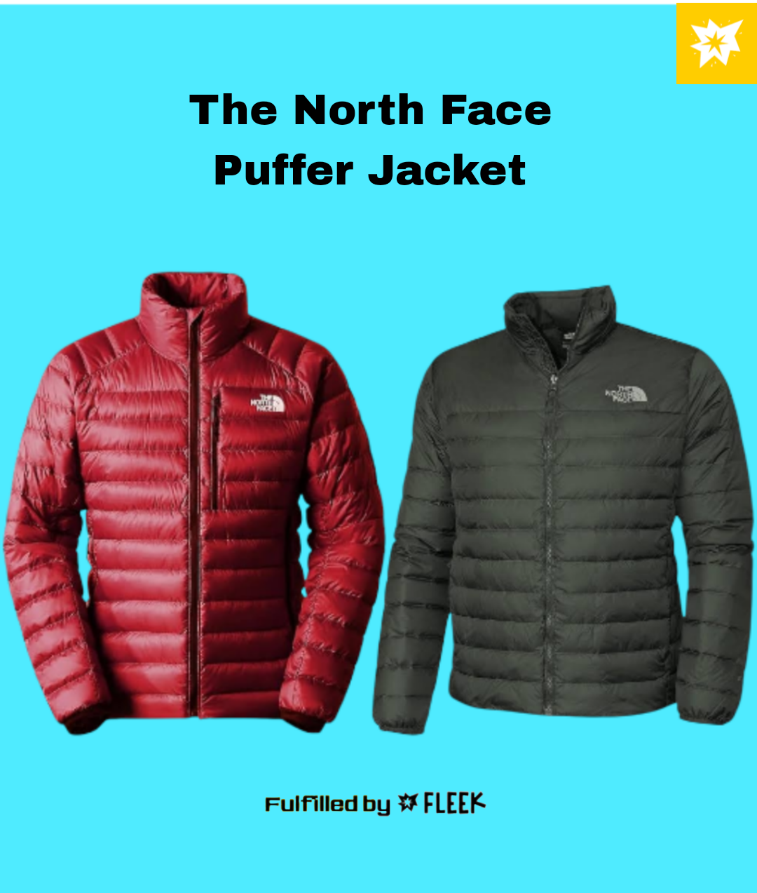 The North Face Puffers