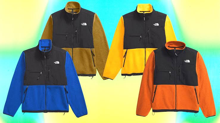 Les vestes en polaire The North Face