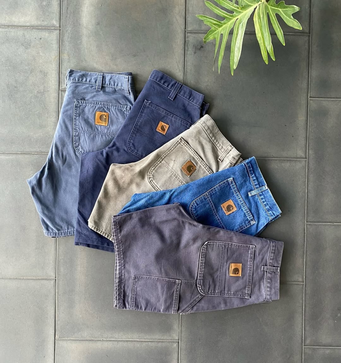 Carhartt & Dickies  Short Men's