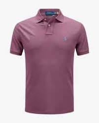 Premium Polo Ralph Lauren Collar T-shirts