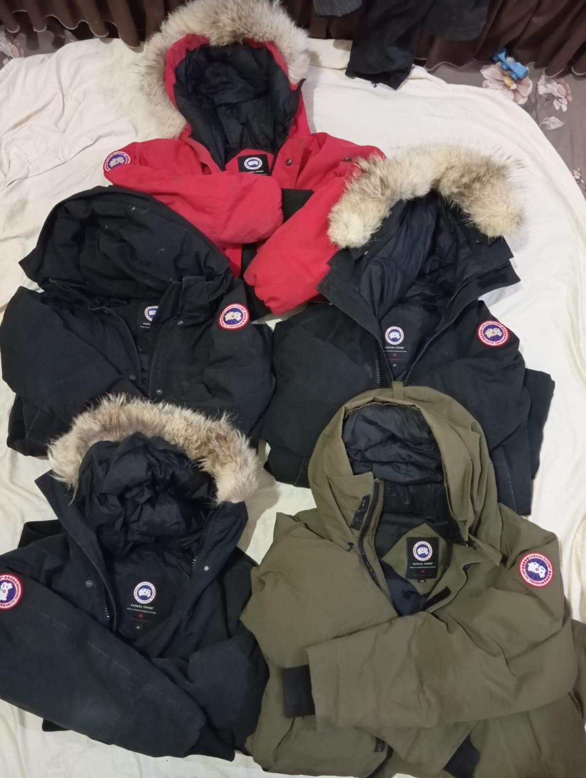 Canada Goose Jacken