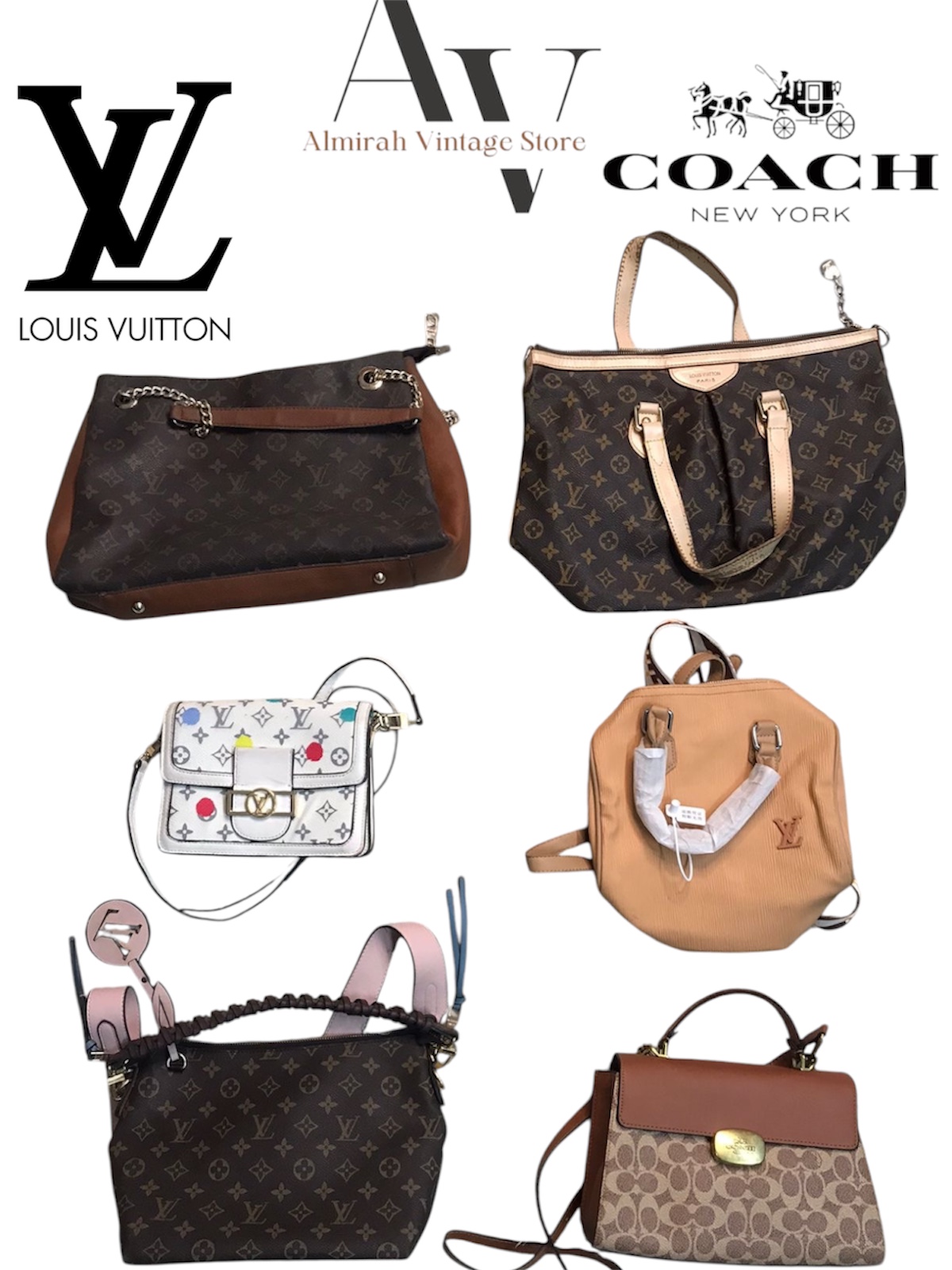 Louis voution LV & coach  bags