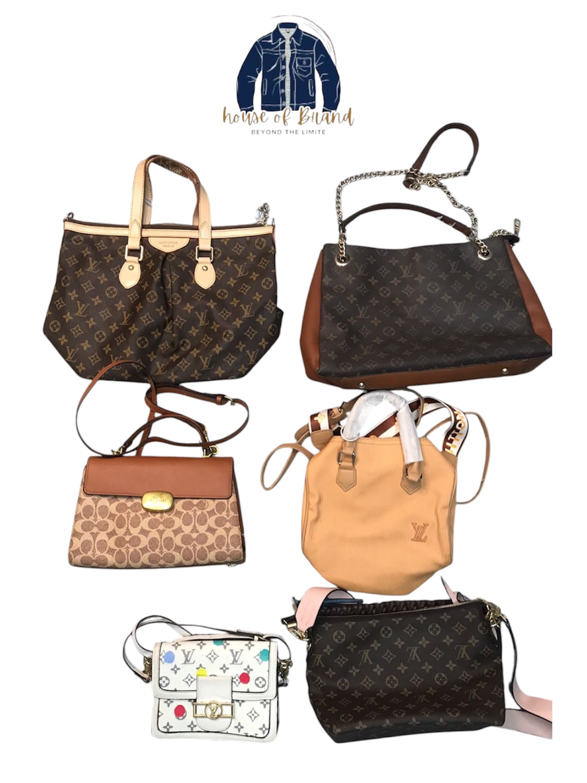 Sacs luxueux Louis Vuitton et Coach