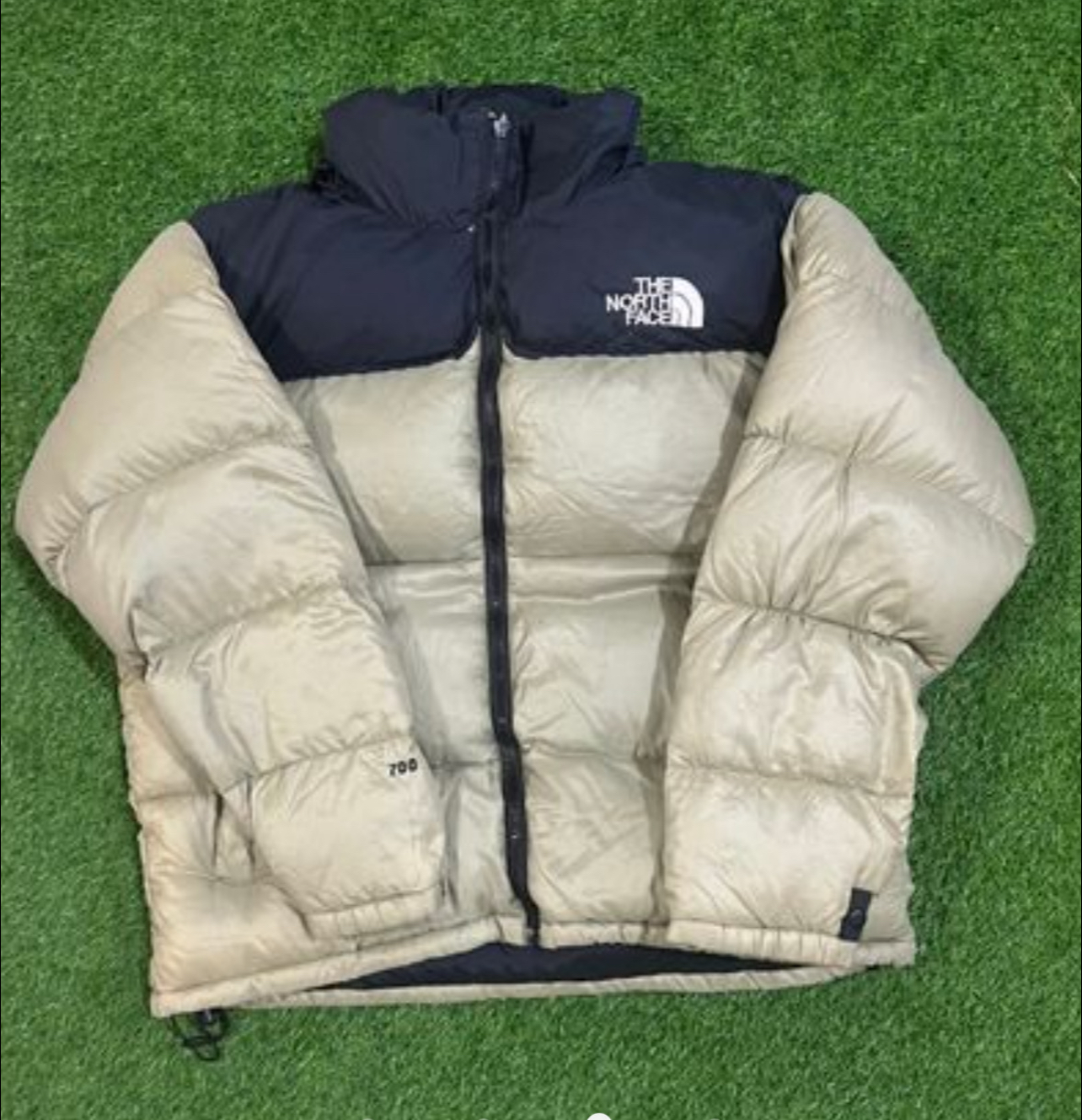 Moncler Canada Goose et TNF