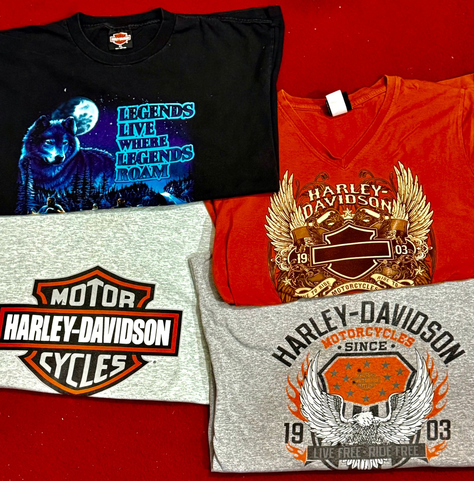 T-Shirts Harley Davidson - 15 pièces